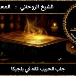 جلب الحبيب ثقه في بلجيكا