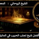 افضل شيخ لجلب الحبيب في المانيا