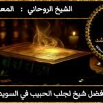 افضل شيخ لجلب الحبيب في السويد