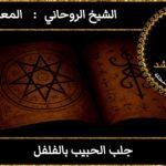 جلب الحبيب بالفلفل